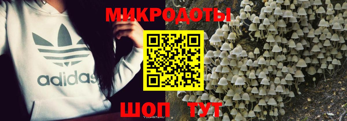 Псилоцибиновые грибы GOLDEN TEACHER  Вход с VPN  Галлюциногенные грибы мухоморы  Арзамас 