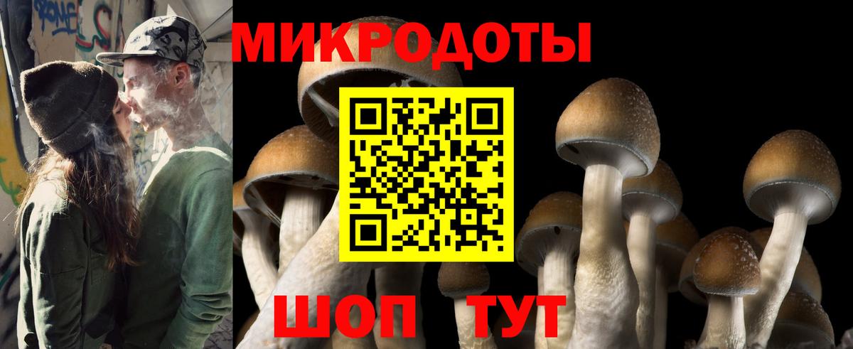 Псилоцибиновые грибы Psilocybine cubensis Арзамас